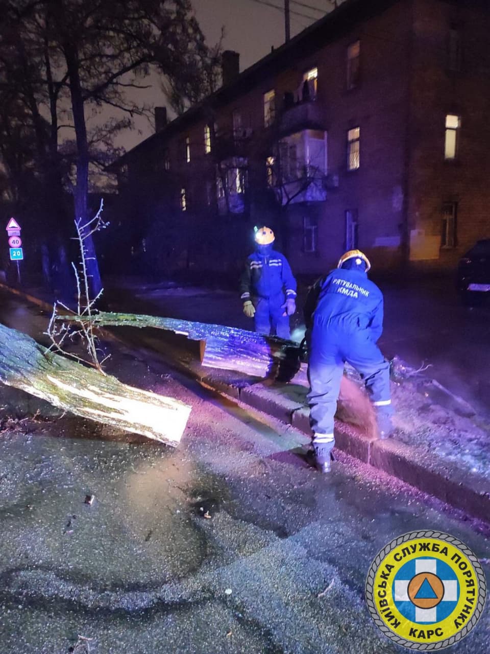 Десятки повалених дерев. З'явилися фото наслідків крижаного дощу в Києві